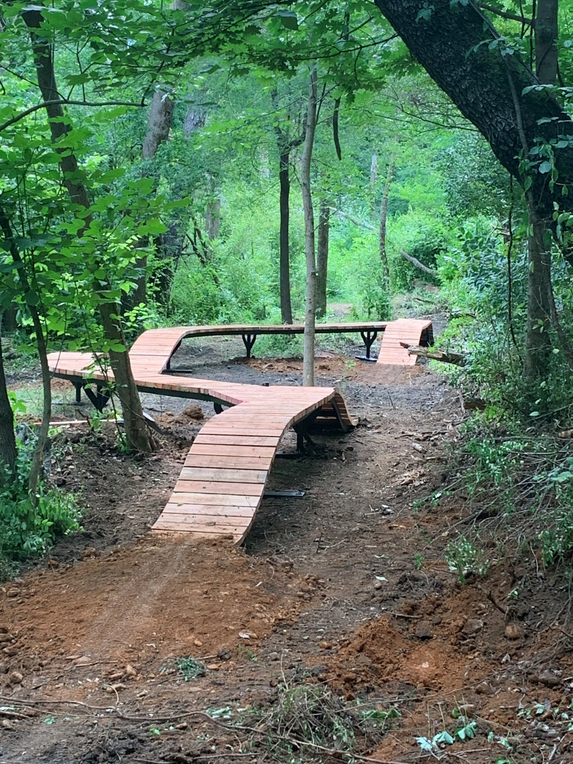 Morningside Bike Park ramps in the woods