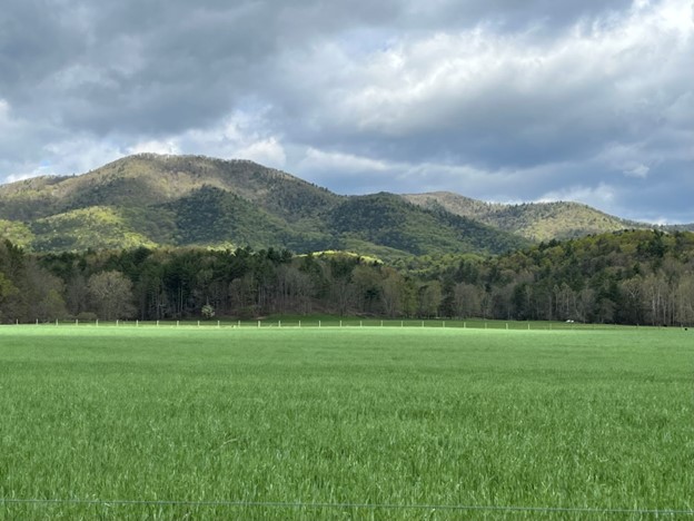 Large green pasture with beautiful Blue Ridge Mountains in the background. The sky is mostly cloudy with a few beams of sun poking through.