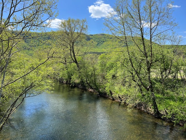 Wide creek on a sunny day with bright green, budding trees lining either bank. The mountains are in the background with a bright blue sky and a few white clouds.