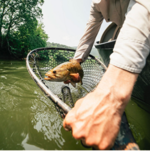 fly fisherman holding a net in one hand with a trout in the other.